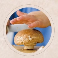 DETAN德添牛排菇 褐菇 早餐菇 購買請聯系，否則不發貨