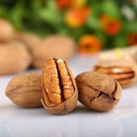 松鼠大廚_碧根果108g/袋散裝果仁三只零食堅果干果批發(fā)一件代發(fā)