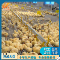 農(nóng)戶(hù)養(yǎng)殖雞鴨料線水線 雛鴨散養(yǎng)蛟龍式自動(dòng)上水料線水線 圓盤(pán)料線