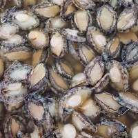 福建連江本地速凍鮑魚肉 無(wú)殼純?nèi)怩r活速凍鮑魚酒店餐飲食材批發(fā)