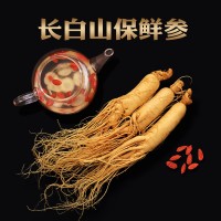 廠家直銷長白山保鮮參 吉林保鮮人參東北特產(chǎn)新鮮人參泡酒保鮮參