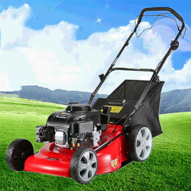 O1CN01VgZKDP21iIIddLSmt_!!3821477018-0-cib