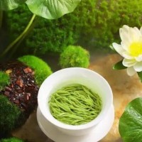 私藏西安品茶工作室攻略從選茶到品鑒解鎖沉浸式茶文化體驗