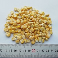 FD甜玉米粒