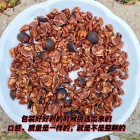 好好剝山核桃 山核桃仁 破殼仁批發大量