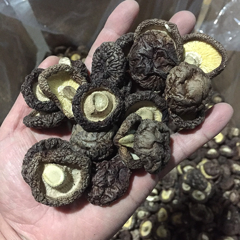 23300183405_1418811380