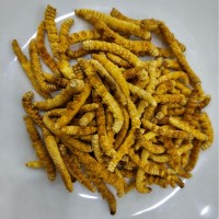 【野生蟲(chóng)草】那曲冬蟲(chóng)夏草蟲(chóng)草干貨蟲(chóng)草禮盒滋補(bǔ)品批發(fā)產(chǎn)地直供