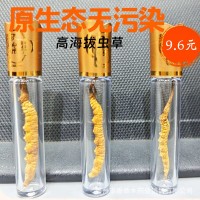 【凍干蟲(chóng)草】蟲(chóng)草干貨蟲(chóng)草禮盒滋補(bǔ)品冬蟲(chóng)夏草禮盒批發(fā)產(chǎn)地直供