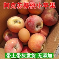 批發(fā)新疆阿克蘇櫻桃小蘋果孕婦寶寶新鮮水果產(chǎn)地發(fā)當(dāng)季代發(fā)