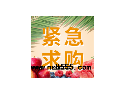 采購品種：圣女果